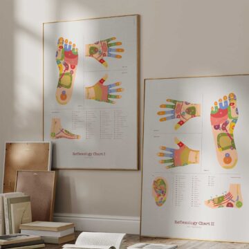 Sclerotomes Pain Map anatomy chart for clinics Sclerotomes Pain Map anatomy chart for clinics